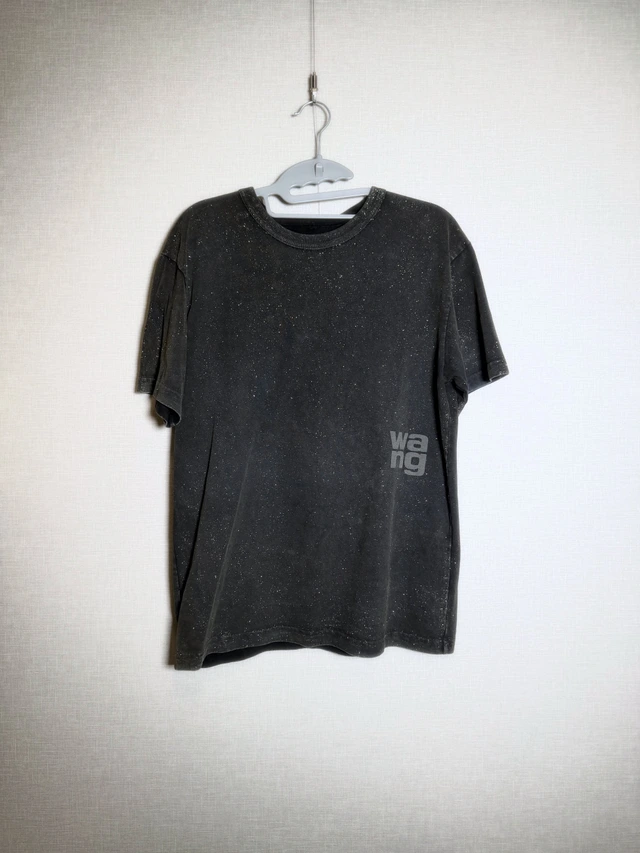 Alexander Wang ラメ入り 半袖Tシャツ 1枚目